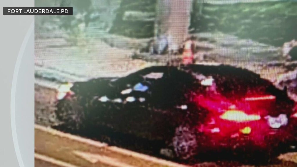 Police seek Mercedes in deadly Fort Lauderdale hit-and-run — CBS Miami, Dallas Community news