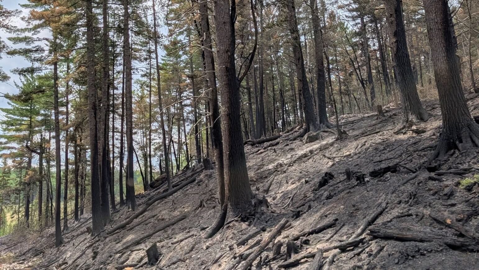 74-year-old who became separated from his family on a trail in Ely was discovered dead — KSTP 5, Dallas Community news